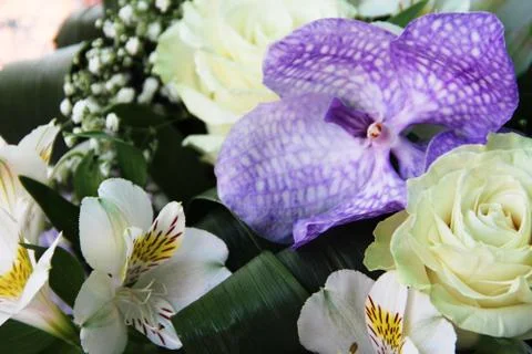 Bunch of flowers Stock Photos