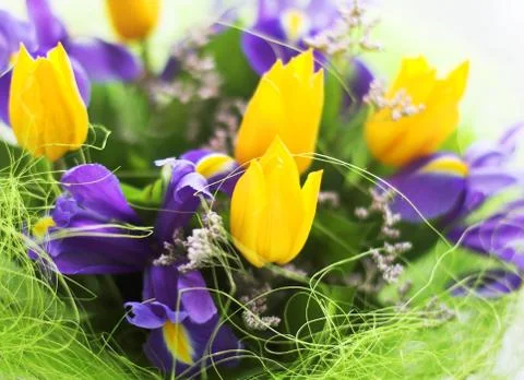 Bunch of flowers Stock Photos