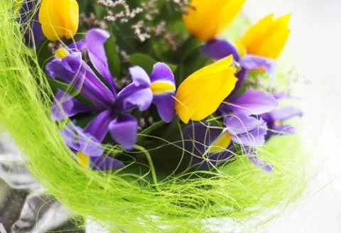 Bunch of flowers Stock Photos
