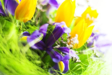 Bunch of flowers Stock Photos