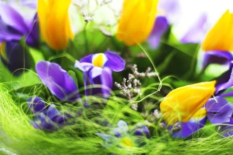 Bunch of flowers Stock Photos