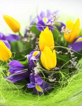 Bunch of flowers Stock Photos