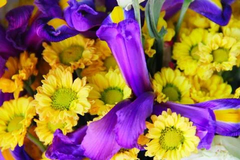 Bunch of flowers Stock Photos