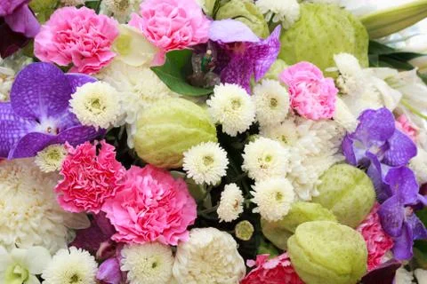 Bunch of flowers Stock Photos