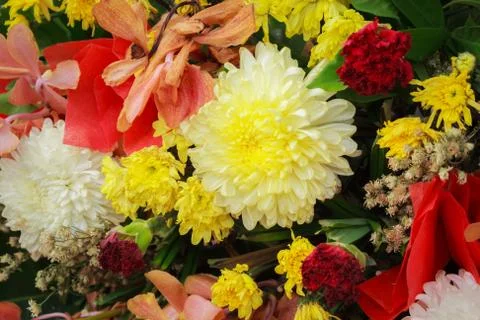 Bunch of flowers Stock Photos