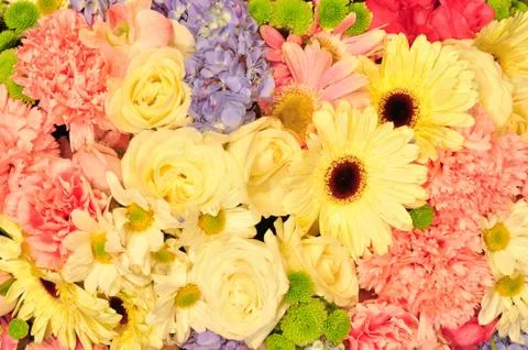 Bunch of flowers Fotos Stock