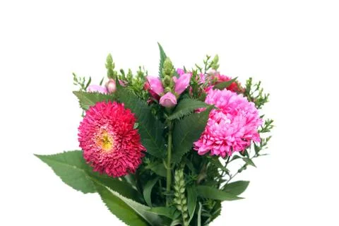Bunch of flowers Stock Photos