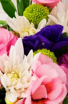 Bunch of flowers Stock Photos