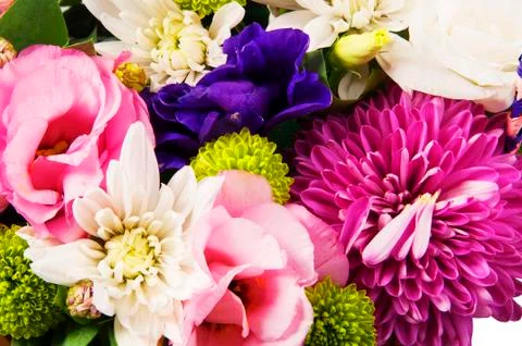 Bunch of flowers Stock Photos