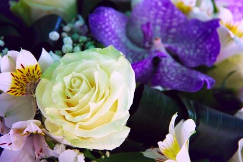 Bunch of flowers Stock Photos