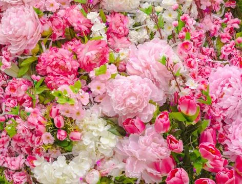 Bunch of flowers Stock Photos