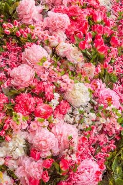 Bunch of flowers Stock Photos
