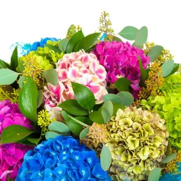 Bunch of flowers Stock Photos