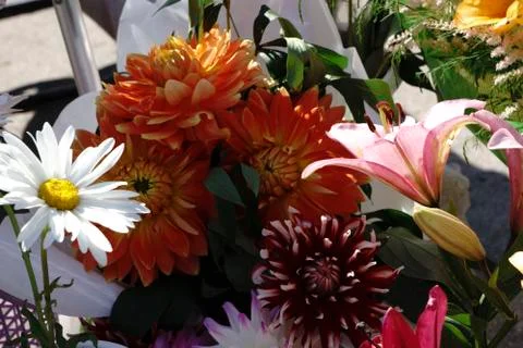 Bunch of flowers Stock Photos