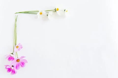 Bunch of flowers Stock Photos
