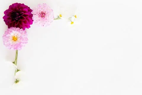 Bunch of flowers Stock Photos