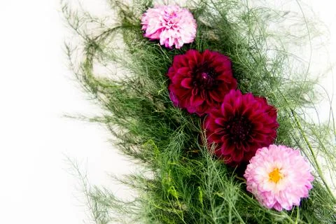 Bunch of flowers Stock Photos
