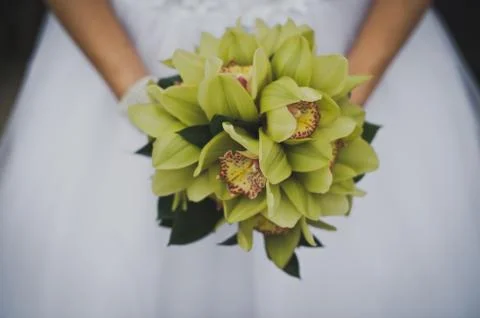 Bunch of flowers. Stock Photos