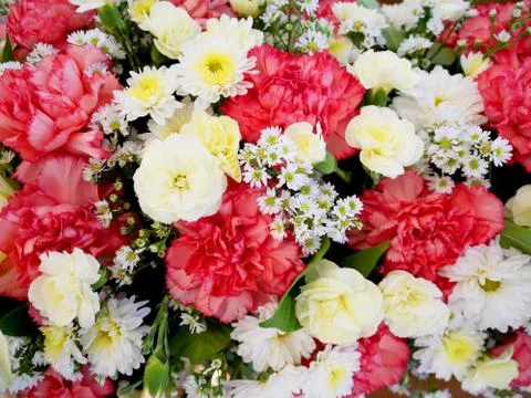 Bunch of flowers Stock Photos