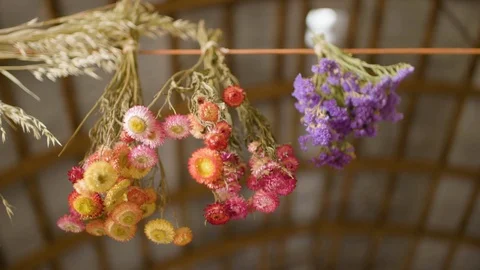 Bunch of flowers tied on string Stock Footage 87804005