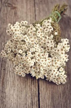 Bunch of flowers on a wooden background Stock Photos