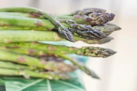 Bunch of fresh asparagus Stock Photos