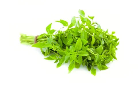 Bunch of fresh basil herb /  isolated Stock-Fotos