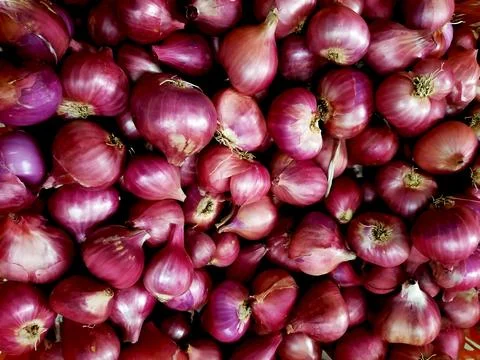 A bunch of fresh  beautiful shallots Foto stock