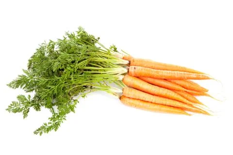 Bunch of fresh carrots Stock Photos