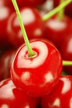 Bunch of fresh cherries Stock Photos