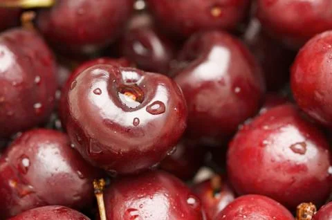 Bunch of Fresh Cherries Stock Photos