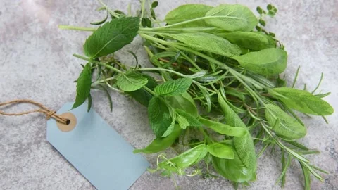 Bunch of fresh culinary herbs rotating Stock Footage 339924536