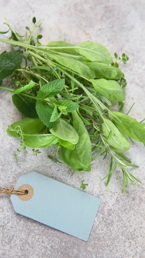 Bunch of fresh culinary herbs rotating Stock Footage 340563520