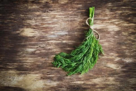 Bunch of fresh dill Stock Photos
