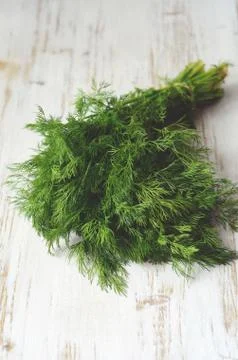Bunch of fresh  dill Stock Photos