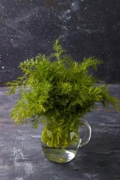 Bunch of fresh dill Stock Photos
