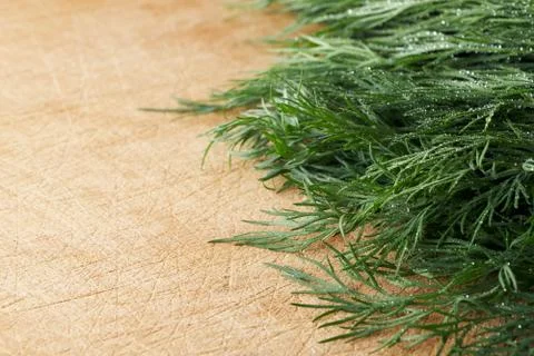 A bunch of fresh dill with small drops of water on a wooden cutting board Stock Photos