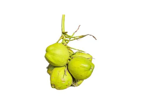 Bunch of fresh green Coconuts over white background, isolated Stock Photos
