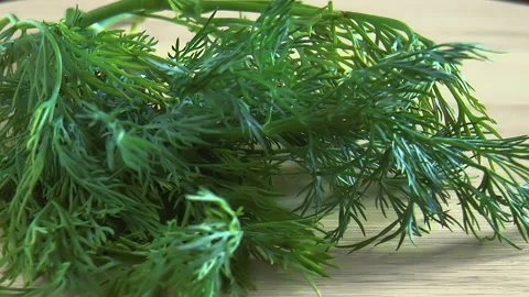 Bunch fresh green dill Stock Footage 91963318