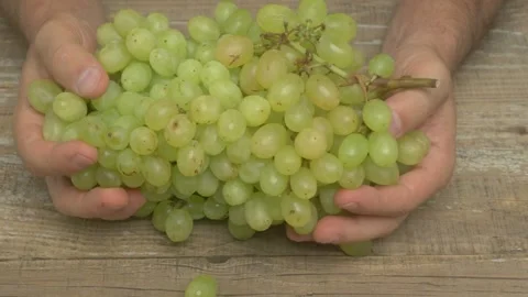 A bunch of Fresh Green Grapes held in Hands, showcasing vibrant and healthy Stockbeeldmateriaal 282018245