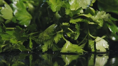 A bunch of fresh herbs falls to the black background closeup slow motion. Stock Footage 112652908