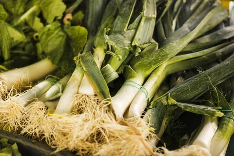 Bunch fresh leek vegetable crate market 1 Stock Photos
