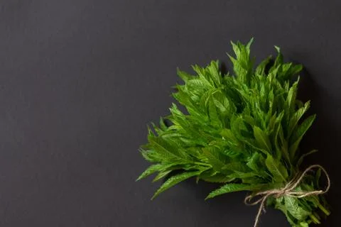 A bunch of fresh mint on a black background, flat lay Stock Photos