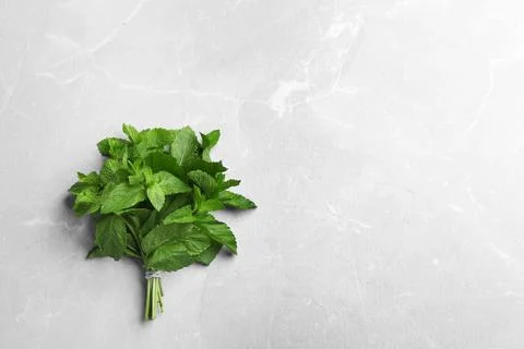 Bunch of fresh mint on grey marble  background, top view. Space for text Stock Photos