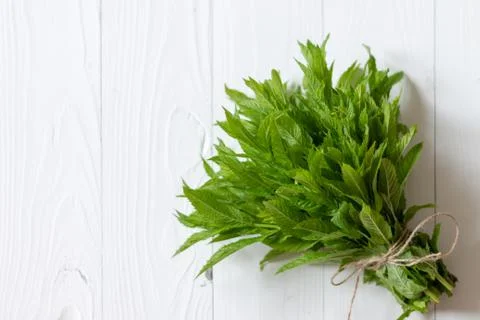 Bunch of fresh mint on white background, flat lay Stock Photos