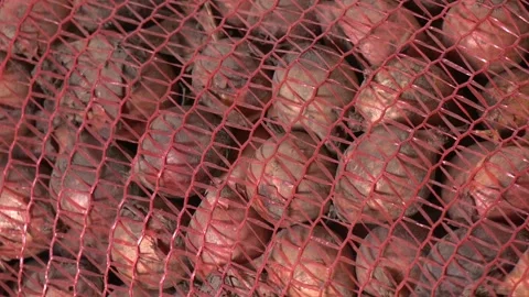 Bunch of fresh onions packed in red mesh bags 스톡 동영상 296086623