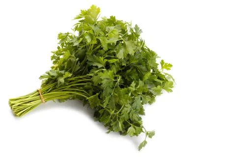 Bunch of fresh parsley Stock Photos