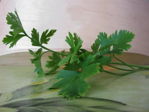 Bunch of fresh parsley on the table Foto stock