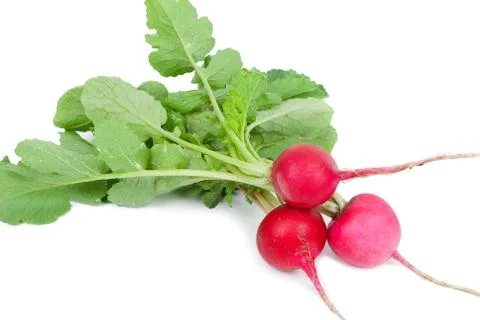 Bunch of fresh radish Stock Photos