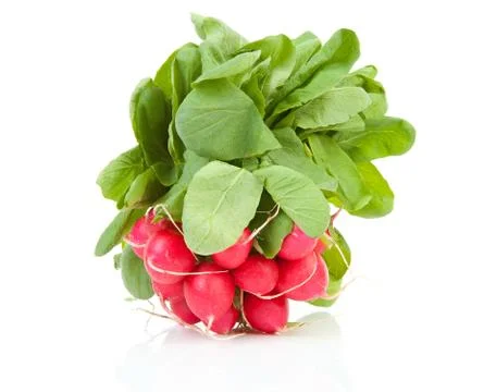 Bunch of fresh radish Stock-Fotos